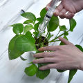 20ml Syringe Glue Filling Plastic Syringe Nutrient Sterile Health Without Needle Watering Refilling for Industrial Hydroponics. 