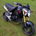 MSX125 Motorcycle Footpeg Front Rear Foot Pegs Footrest Peg for Honda Grom MSX125 CBR600 CBR1000 Silver/Black.