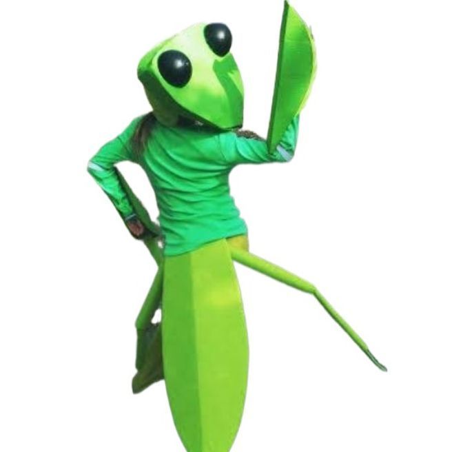 Grasshopper costume-kids-cosplays-pretending-insects 