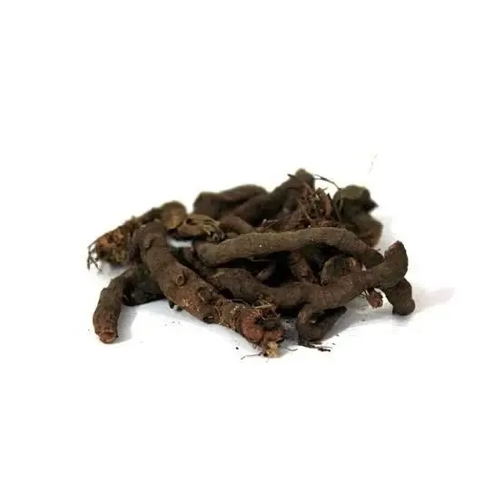 Anjabar%2050gm%E2%80%A2%20Anjbar%20%E2%80%A2%20KnotGrass%20Root%20%E2%80%A2%20%D8%A7%D9%86%D8%AC%D8%A8%D8%A7%D8%B1%E2%80%8E%20%E2%80%A2%20-%20Image%202