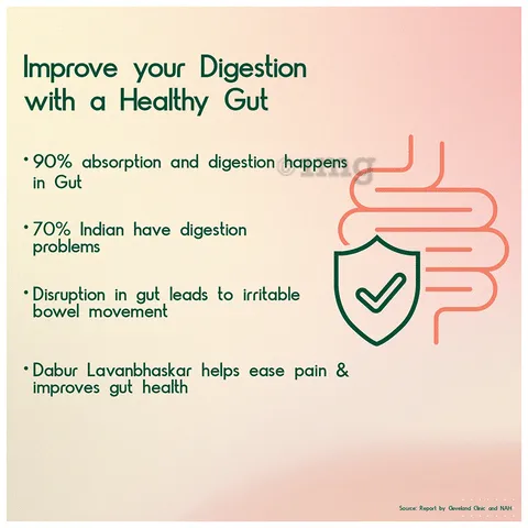 Dabur%20Lavan%20Bhaskar%20Churna%20%7CA%20Remedy%20for%20Indigestion%7C%20120%20gm%20-%20Image%204