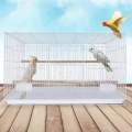 Bird Cage - Love Bird cage - Parrot Cage. 
