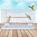 Bird Cage - Love Bird cage - Parrot Cage. 