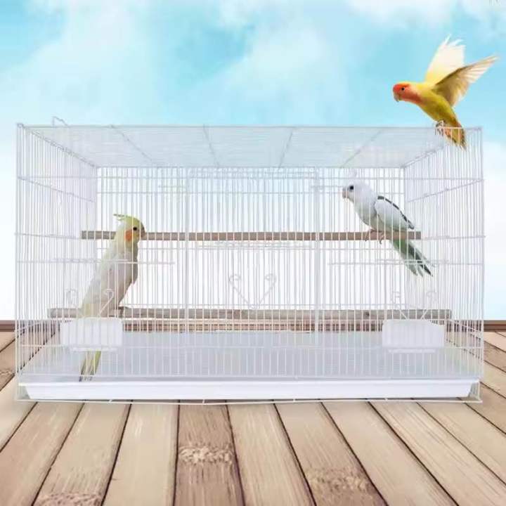 Bird Cage - Love Bird cage - Parrot Cage