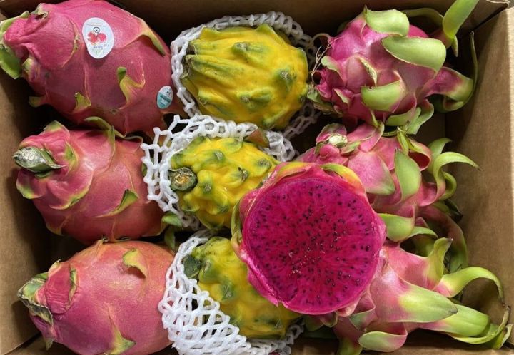 Fresh and original Dragon fruit seeds pack of 30 seeds