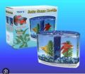 Fighter Fish Tank Double + Filter System. 