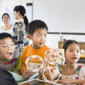 4/6/7/8/10Inch Hand Drums Toys Education Orff Musical Instrument Tambourine Hand Cranked Bell Single Row Wooden Tambourine Rings. 