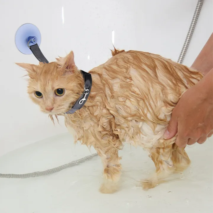 Pet Bath Fixation Strap with Sucktion Cup Cat Dog Shower Restraint Leash Anti Scratch Escaping Leash Pet Bathing Grooming Tool