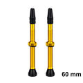 ZTTO Bicycle Tubeless Valves Stems 60mm Presta 40mm No Tubes FV With Integrated Valve Core for Road bike MTB Tire. 