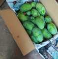 White Chunsa 5kg fresh fruit famous gift of Shujaabad Mango. 