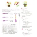 Embroidery Punch Needle Kit Stitching Tool Set Magic Embroidery Needle Pen Weaving Tool Knitting Sewing Tools for DIY Sewing. 