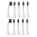 10pcs Replacement Brush Heads for Original Burst Pro Sonic Electric Toothbrush Soft Charcoal Bristles Refill with Dust Cover Cap.