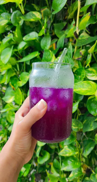 Blue%20Pea%20Tea%20Butterfly%20Pea%20Tea%20by%20Tea%20Amo%20Nepal%2010%20grams%20-%20Image%204