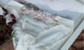 Luxury European and American Women Thin Big Size 34-42 ABC Chest Small Lace Transparent Sensual Lingerie Set Perspective Winter.