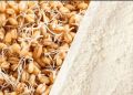 Pure and Fresh 500g Sprouted Wheat Flour / Samnak / Angoori Atta  - for Sohan Halwa and many other things. 