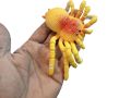 Rubber Toy spider funny and crazy toy. 