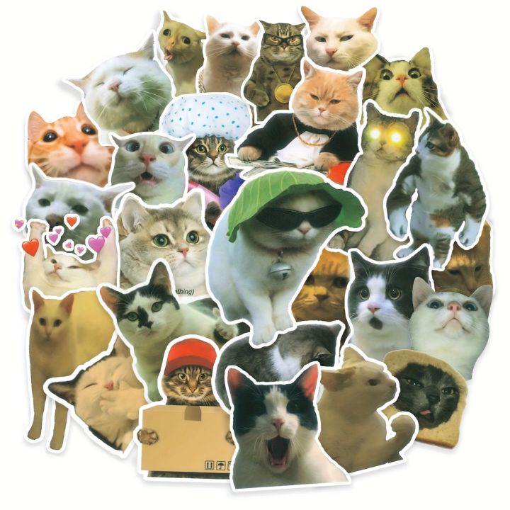 50 Pcs/Pack Funny Meme Cat Stickers for Laptop,Cute Cat Vinyl Stickers ...