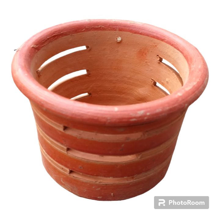 Matir%20Flower%20Tob%20_%20Matit%20Tub%20_%20Orchid%20Matir%20Tob%20-%20Image%205