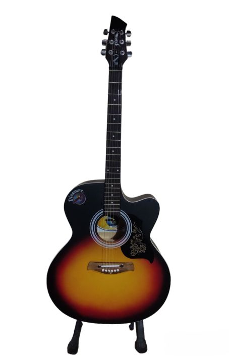 Pleasure Indian Acoustic Guitar
