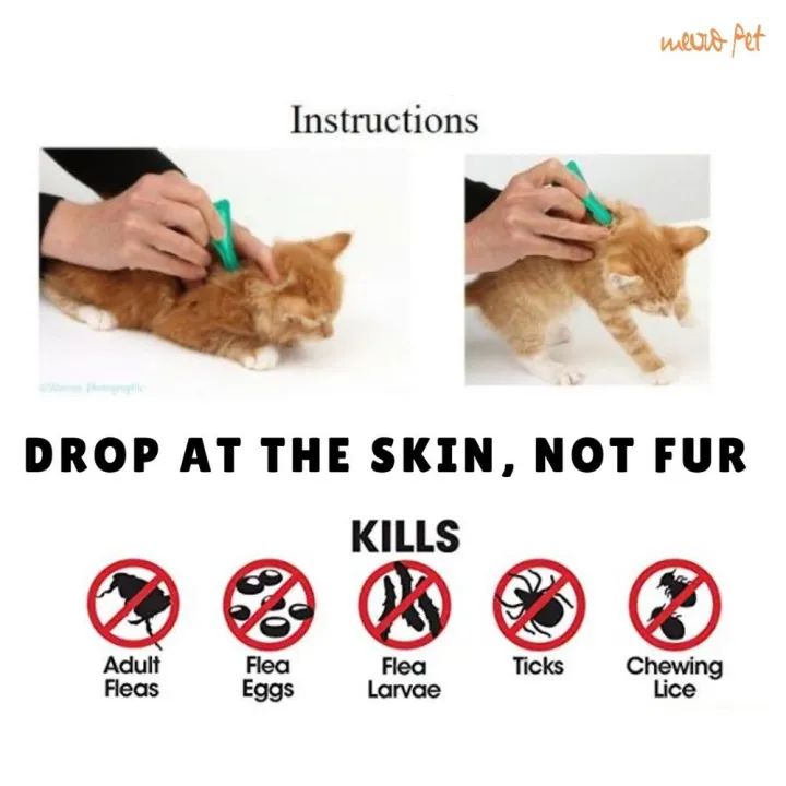 Flea%20Killer%20Spot%20On%202.5ml%20-%20Image%202