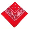 Hip Hop Bandana 23 Styles Man Women Fashion Outdoor Headbands Hair Band Wrist Wraps Hair Scarves High Quality Hair Accessories. 