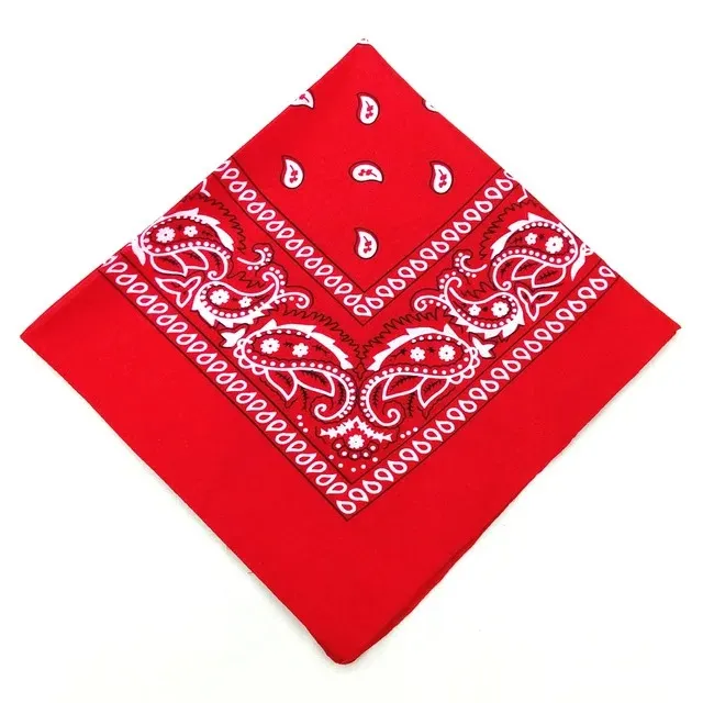 Hip%20Hop%20Bandana%2023%20Styles%20Man%20Women%20Fashion%20Outdoor%20Headbands%20Hair%20Band%20Wrist%20Wraps%20Hair%20Scarves%20High%20Quality%20Hair%20Accessories%20-%20Image%207