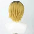 Kozume Kenma Cosplay Wig 30cm Short Golden Black Dyed Kenma Kozume Anime Wigs Heat Resistant Synthetic Wigs Halloween Party. 