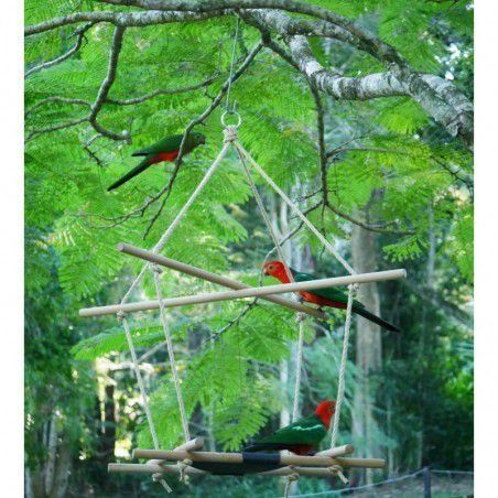 Birds%20Swing%20and%20Feeder%20%7C%20Birds%20Natural%20hanging%20toy%20and%20feeder%20%7C%20size%20top%2012x12inch,%20bottom%206x6inch%7C%20-%20Image%208