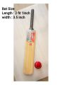 Cricket Bat Small Size for 2-8 years kids with free 1 pis Ball. 