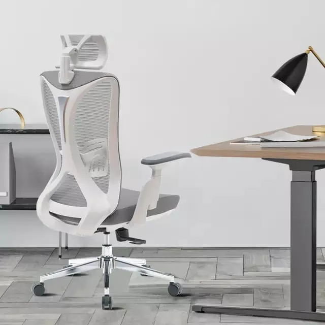 2D%20computer%20chair,%20Executive%20chair,%20study%20purpose%20chair,%20laptop%20usage%20chair,%20conference%20chair,%20meeting%20staff%20chair,%20side%20chair,%20workstation%20chair,%20coffee%20and%20dinning%20chair%20-%20Image%204