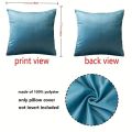 Velvet Burnt Throw Pillow 18X18 Inch Square Pillowcases Soft Cozy Cushion Cases for Couch Bedroom Living Room Home Decor. 