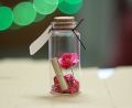 Valentine Love Message Bottle. 