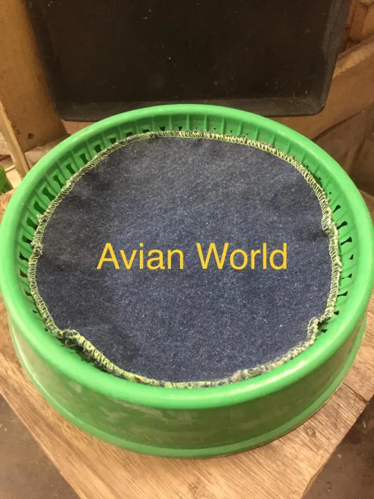 pigeon%20breeding%20material%205%20pcs%20-%20Image%202