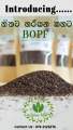 Spicee Hub Premium BOPF Ceylon Tea – Ratnapura’s Finest 50g. 