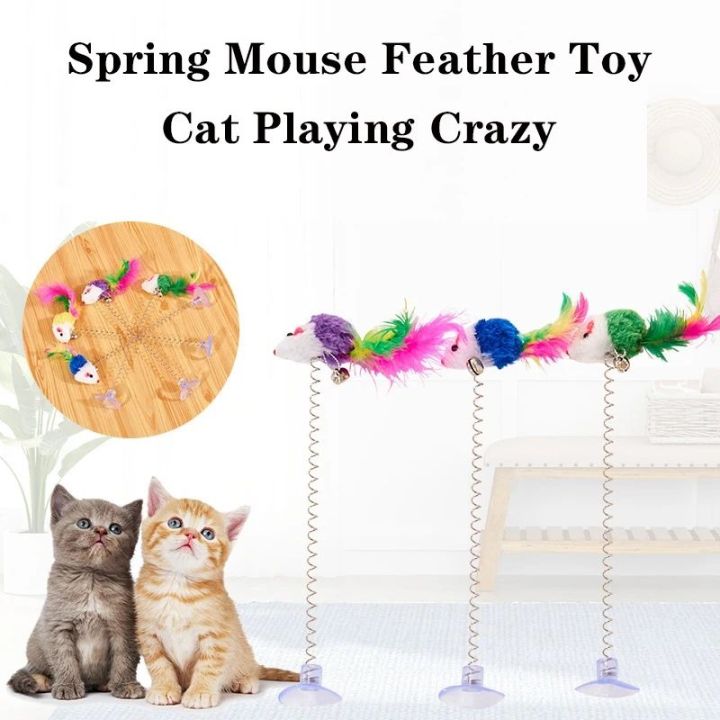 Cat Playing Spring Toy