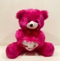 Cute Teddy bear Stuffed Toys. 