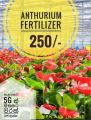 Anthurium Fertilizer 200g pack NPK all in one. 