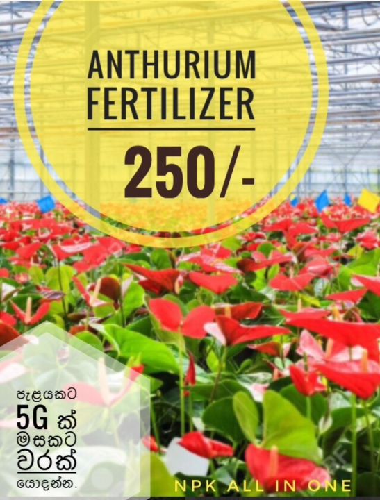 Anthurium Fertilizer 200g pack NPK all in one