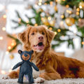 Dog Teething Training  Mighty Bear Pet Toys Durable Tough Heavy Duty Chewer Dog Toy Gifts for Puppy Dog Toys. 