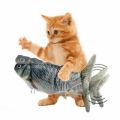 Cat Toy Vibrating Fish Toy. 