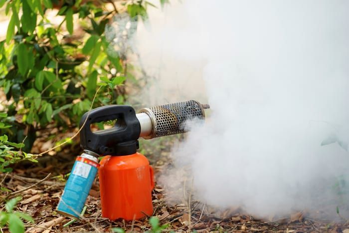 Mosquito%20Fogging%20/%20Dengue%20Control%20/%20Mosquito%20Control%20For%20Exterior%20Area%20Of%20House%20-%20Image%204