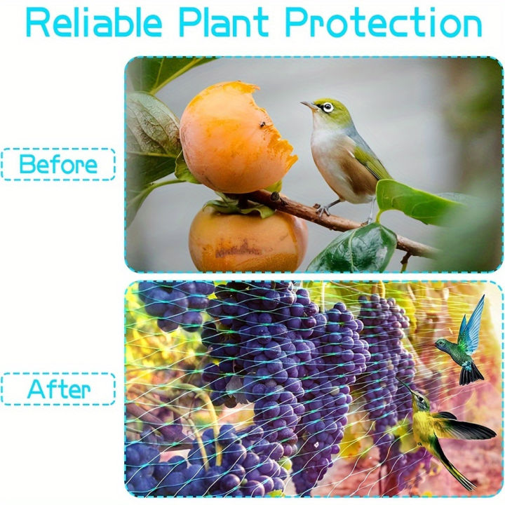 Anti%20Bird%20Netting%20Pond%20Pool%20Protection%20Net%20Mesh%20Garden%20Plant%20Fruit%20Tree%20Vegetables%20Flower%20Traps%20Netting%20Protect%20Pest%20Control%20-%20Image%206