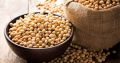 Soya Bean Seeds | Soyabean Dana | Protein & Natural | 250 gms. 