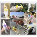 Parrot Flying Harness Leash Suit Macaw Accessories Stuff For Budgie Pet Bird Outdoor Flight Training Rope Cockatiel Supplies NEW. 