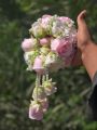 gajray for girls artificial imported flowers 2 hands pink roses and white roses bridal jewellery set kangan bangles with babybreaths. 