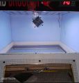Bird Brooder Best for  Parrot 20 To 25 Automatic temperature with heat and cool system. 