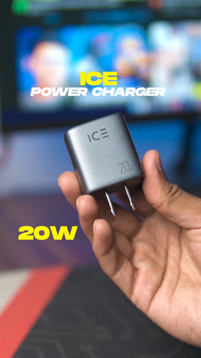 ICE 20W Dual Port Adapter