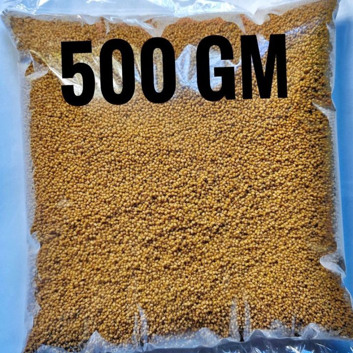 0.6 mm High Protein fish food 500 Gm , For Any kind of aquarium or any fish