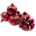 Red angel pomegranate plant malaysian rathu delum pala. 