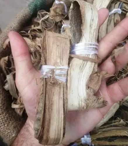 Dandasa%20Walnut%20Tree%20bark%2060Gram%20Special%20From%20Gilgit%20Baltistan%20(Himalayan%20Gift)%20-%20Image%202